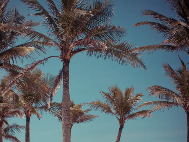 Beach Cleanup Effort on Níjar Shoreline