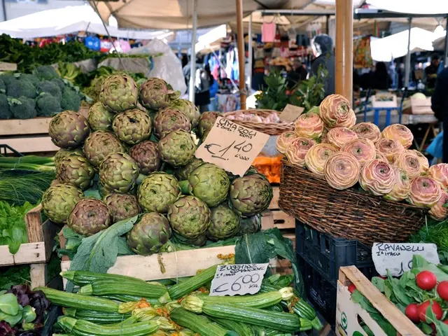 Exploration of Holistic Retreat Centers: A Comprehensive Insight