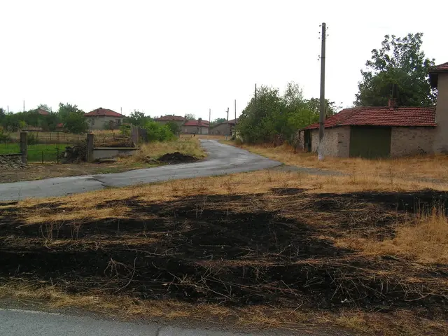 Serene Summer Retreats: Top Scandinavian Country Homes