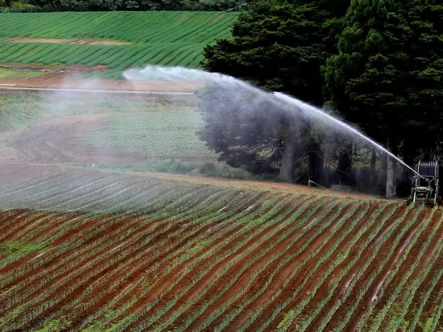 Restoring Native Crops in Mississippi's Soil at the Choctaw Garden