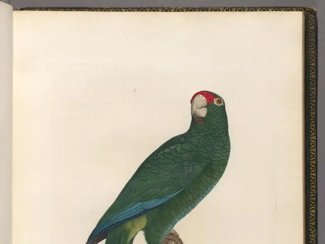 "Article on Platt: Investigation in Rasdorf, reported on 24th August 25"