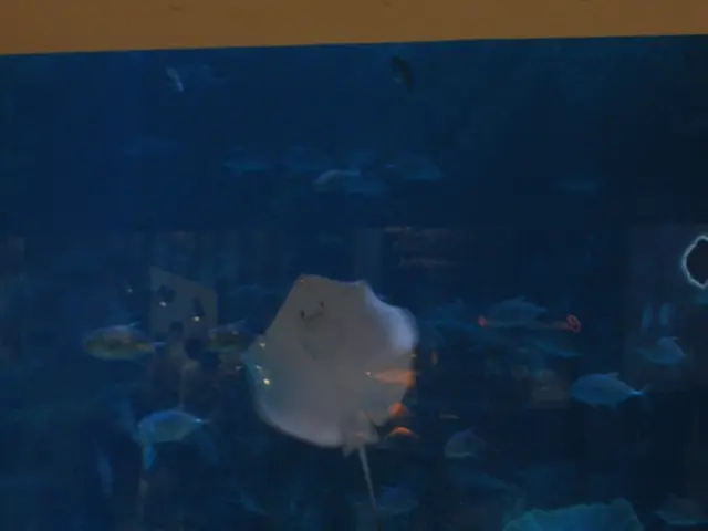 Saltwater Aquarium and Reef Tank Water Parameters Guidelines: Comprehensive Chart of Approved Value...