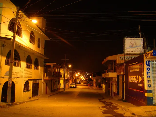 Electric car rental industry in the Baltics experiencing significant drop - insights from service...