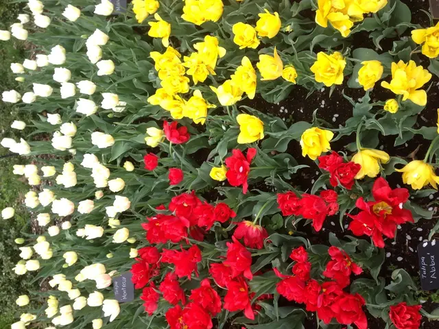 Two Floral Sculptures Exuding Elegance