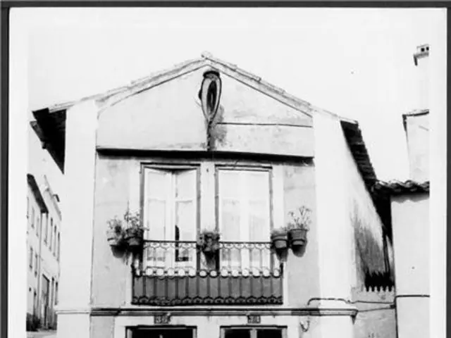 We can see house,doors and house plants attached on fence,beside this house we can see vehicle and...