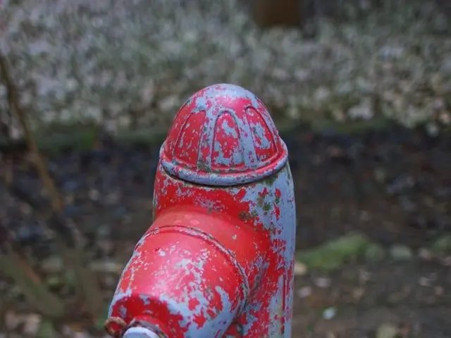 As we can see in the image there is a water pipe.