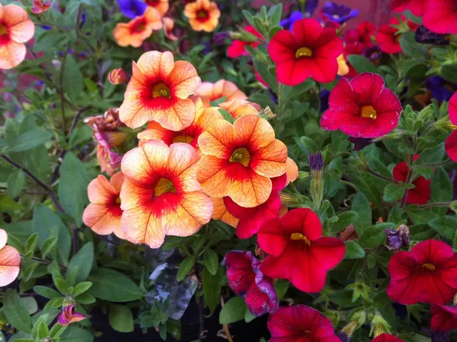 In this picture I can see there are few flowers and leaves they are attached to the stems of the...